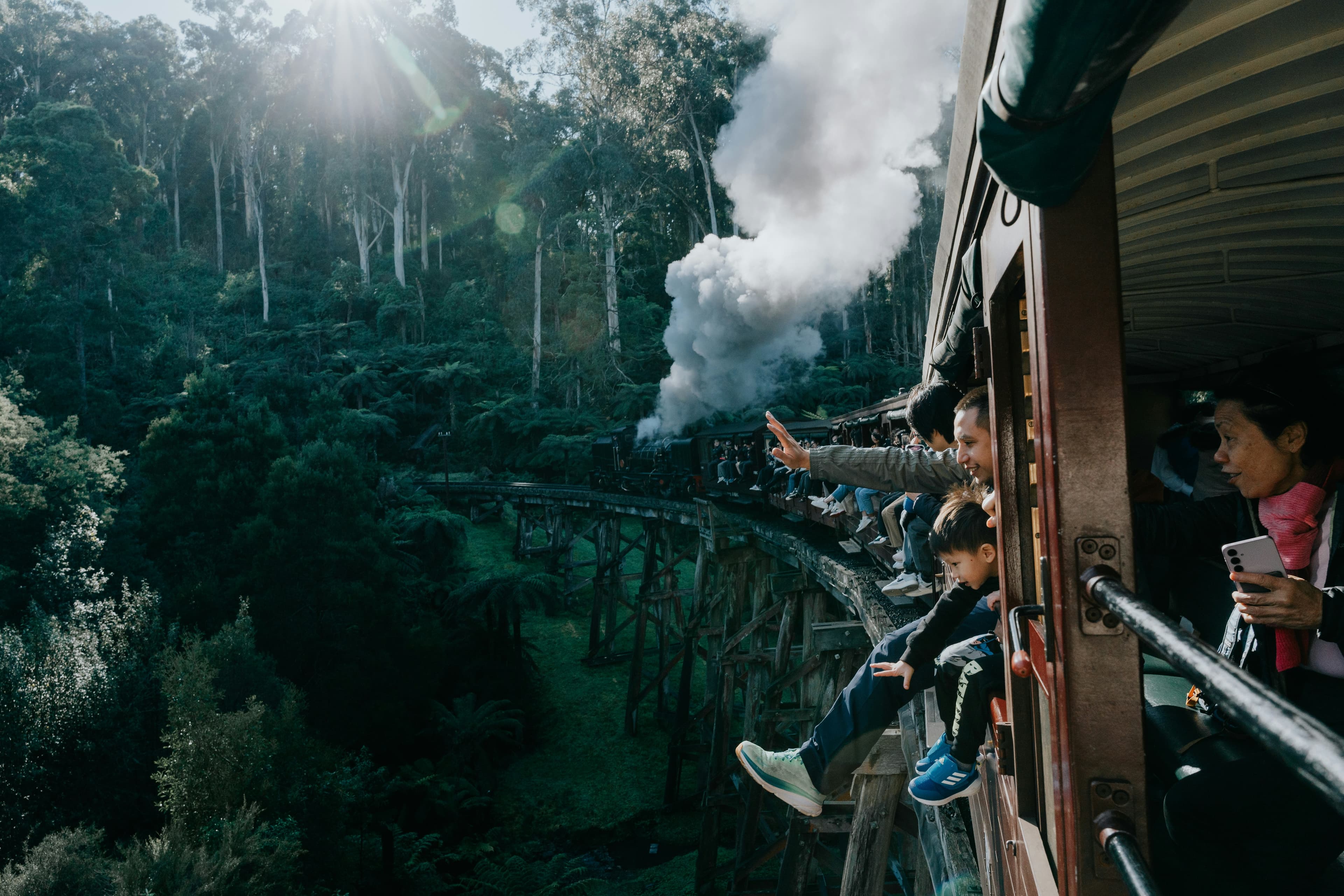 Dandenong Ranges Forest & Puffing Billy