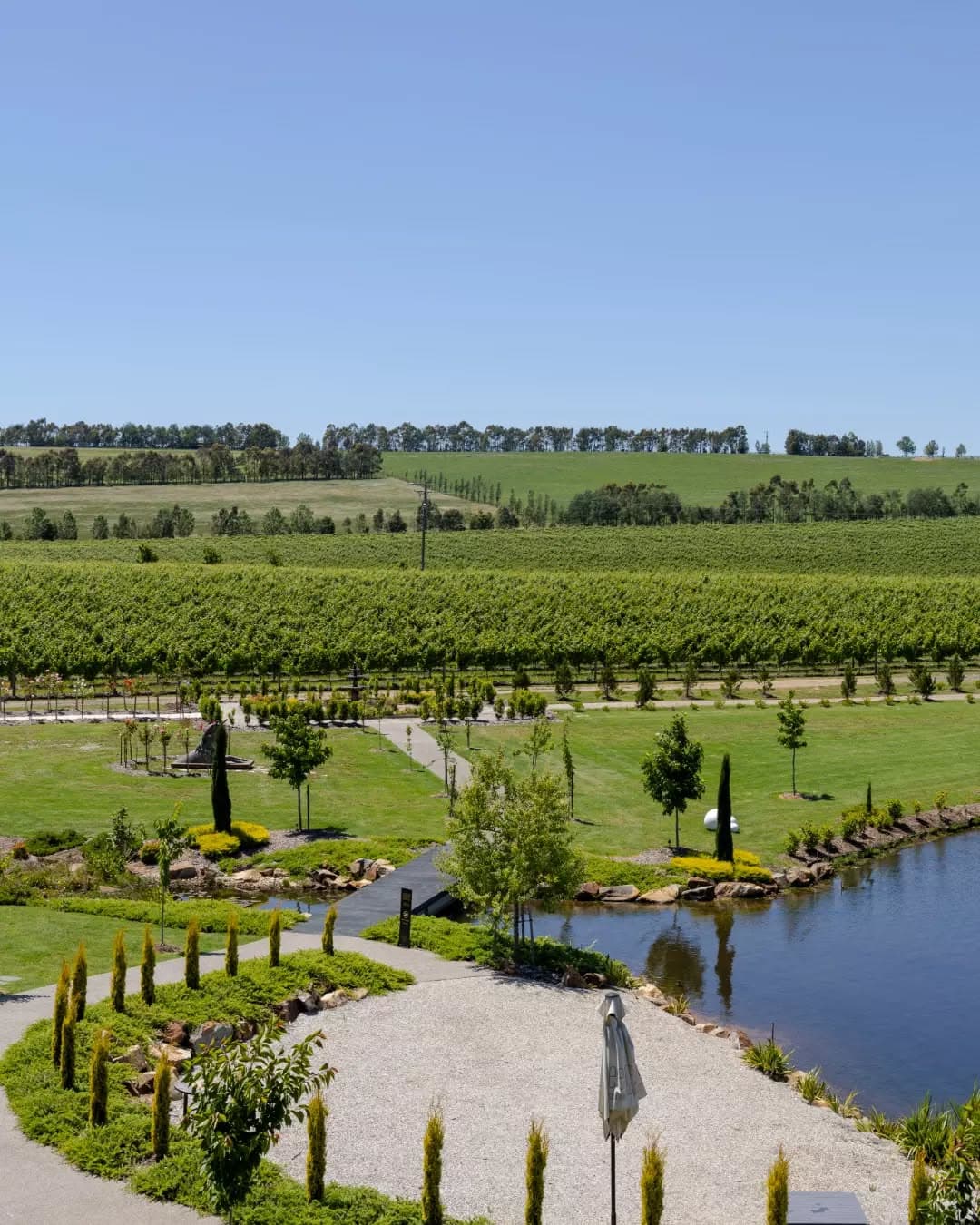 Yarra Valley Wineries & Healesville Sanctuary